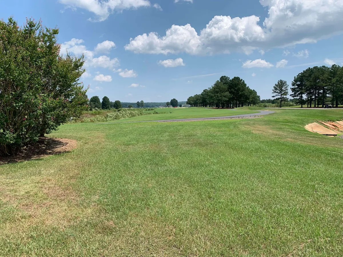 A serene exterior view featuring lush green grass, a bush, distant trees, and an open sky. The space feels expansive and inviting, perfect for outdoor activities or simply enjoying the peace of the countryside.